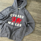 Y2K CYMRU WHALES HOODIE (S)