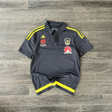2010 PHOENIX FOOTBALL POLO (M)