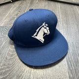 CARLTON DRY HAT