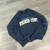 VINTAGE WISCONSIN UNI SWEAT (M)