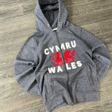 Y2K CYMRU WHALES HOODIE (S)