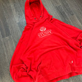 Vintage 90s Stussy Hoodie (XL/XXL)