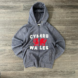 Y2K CYMRU WHALES HOODIE (S)
