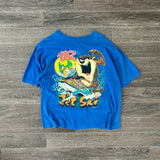 VINTAGE 1991 TAZ TEE (L/XL)